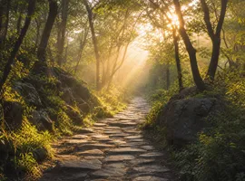Sendero entre niebla y luz representando el recorrido del lead frío hacia el descubrimiento de su problema